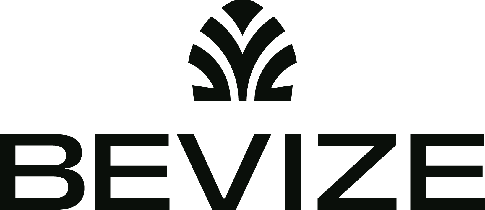 Bevize